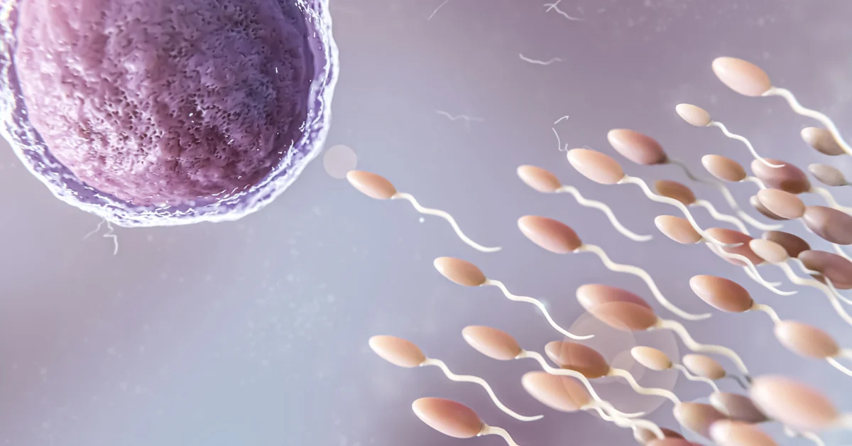Sperm Retrieval