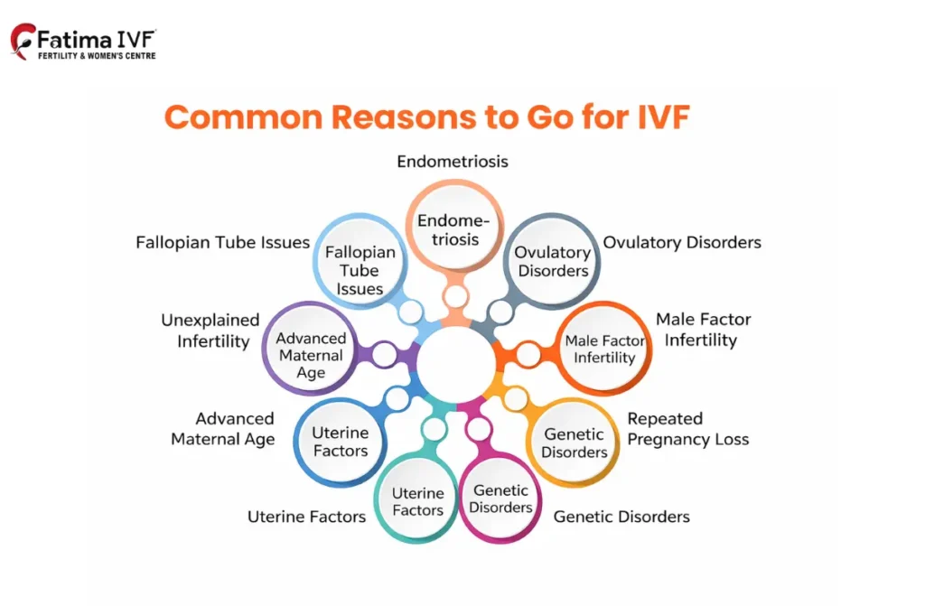 IVF Success Rate in Chennai