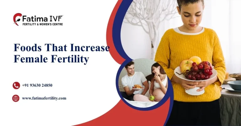Foods That Increase Female Fertility