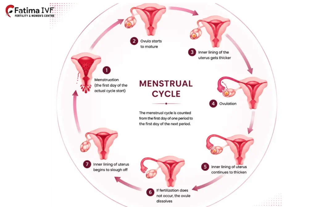 Common Gynecological Problems