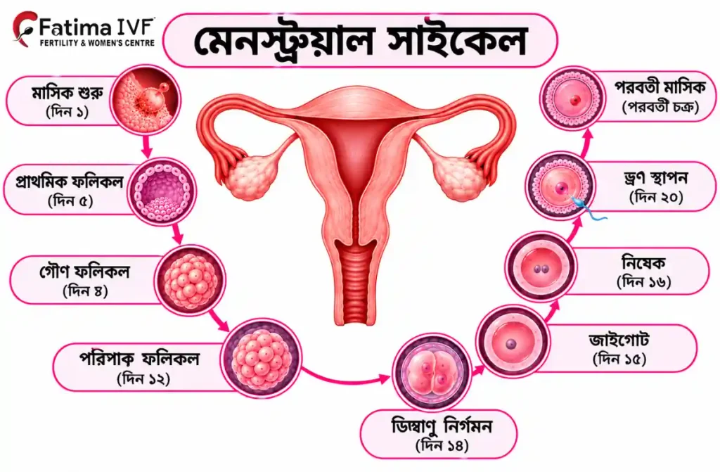 চেন্নাইতে IVF চিকিৎসা
